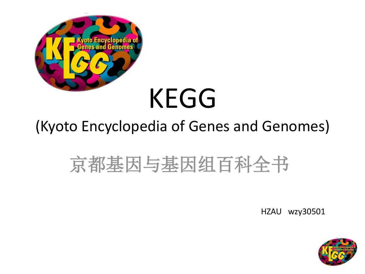 kegg简介